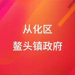 广州市从化区鳌头镇人民政府
