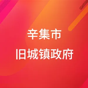 辛集市旧城镇政府