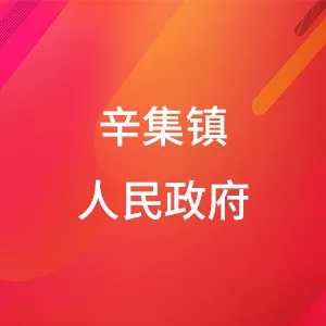 辛集镇人民政府