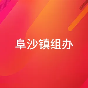 中共中山市阜沙镇委员会党建工作办公室