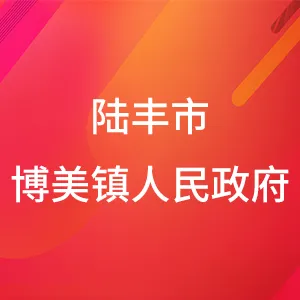 陆丰市博美镇人民政府