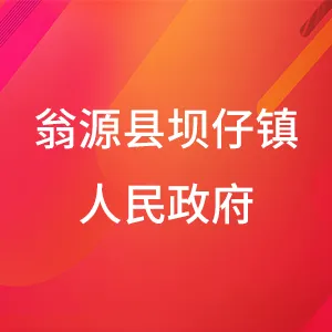翁源县坝仔镇人民政府