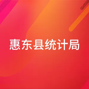 惠东县统计局