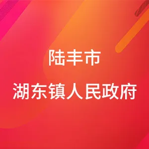 陆丰市湖东镇人民政府