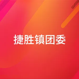 共青团汕尾市城区捷胜镇委员会