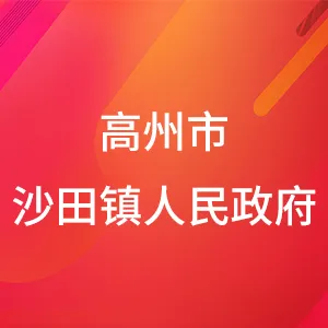 高州市沙田镇人民政府