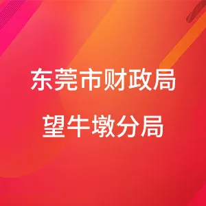东莞市财政局望牛墩分局