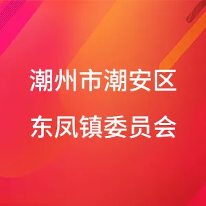 共青团潮州市潮安区东凤镇委员会
