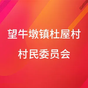 东莞市望牛墩镇杜屋村村民委员会
