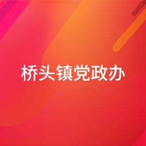 桥头镇人民政府办公室