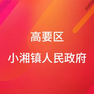 高要区小湘镇人民政府（共青团高要区小湘镇委员会）