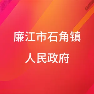 廉江市石角镇人民政府