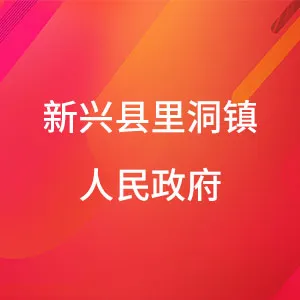 新兴县里洞镇人民政府