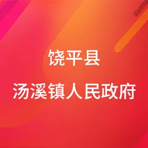 饶平县汤溪镇人民政府