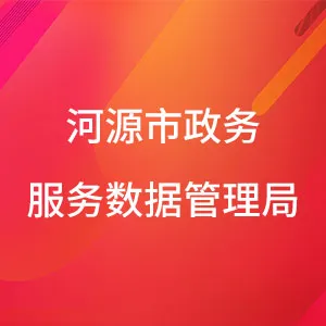 河源市政务服务数据管理局