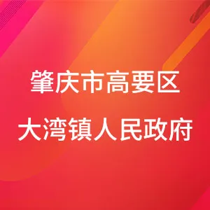 肇庆市高要区大湾镇人民政府