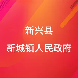 新兴县新城镇人民政府