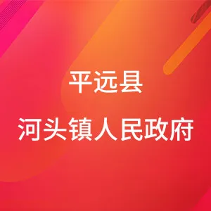 平远县河头镇人民政府