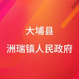 大埔县洲瑞镇人民政府