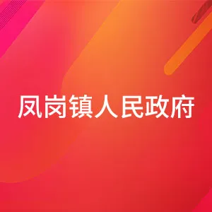 广东省怀集县凤岗镇人民政府