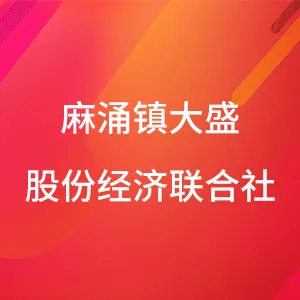东莞市麻涌镇大盛股份经济联合社