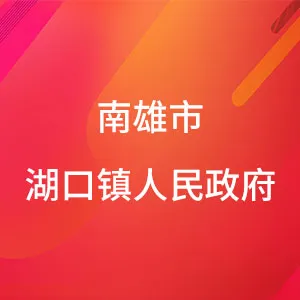 南雄市湖口镇人民政府