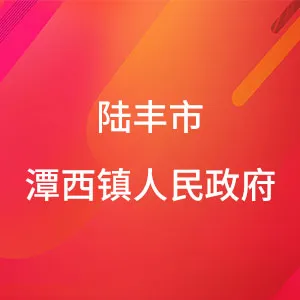 广东省陆丰市潭西镇人民政府