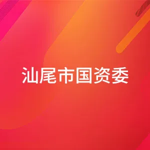 汕尾市人民政府国有资产监督管理委员会