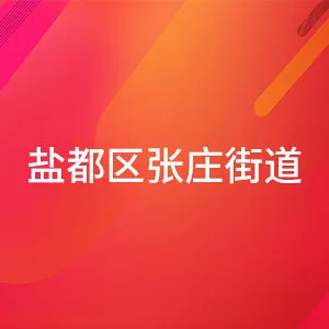 盐城市盐都区张庄街道办事处