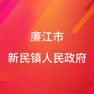 廉江市新民镇人民政府