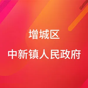 增城区中新镇人民政府