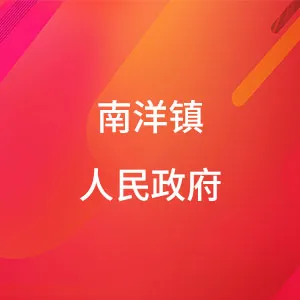 盐城市亭湖区南洋镇人民政府