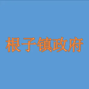 高州市根子镇人民政府