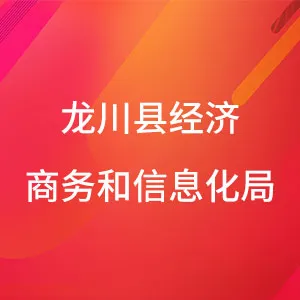 龙川县经济商务和信息化局
