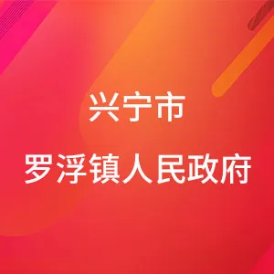 兴宁市罗浮镇人民政府