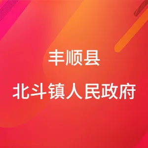 丰顺县北斗镇人民政府