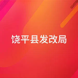 饶平县发展和改革局