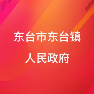 东台市东台镇人民政府