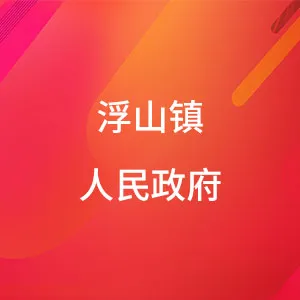 浮山镇人民政府