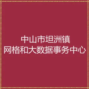 中山市坦洲镇网格和大数据事务中心