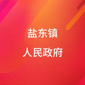 盐城市亭湖区盐东镇人民政府