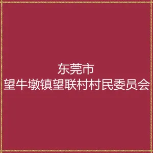 东莞市望牛墩镇望联村村民委员会