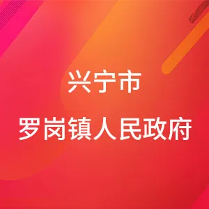 兴宁市罗岗镇人民政府