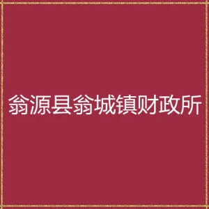 翁源县翁城镇财政所