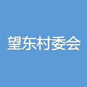 东莞市望牛墩镇望东村村民委员会