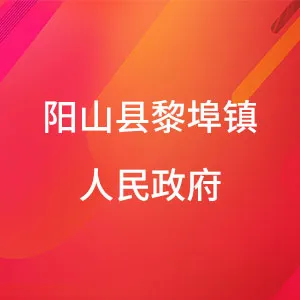 阳山县黎埠镇人民政府