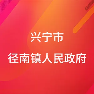 兴宁市径南镇人民政府