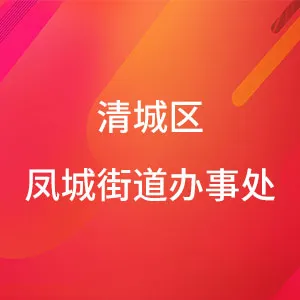 清城区凤城街道办事处