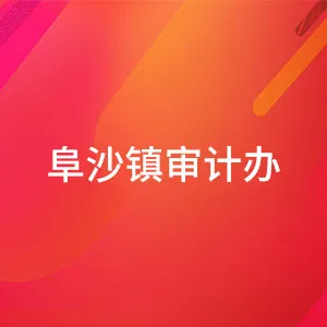 阜沙镇审计办