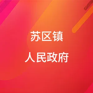 苏区镇人民政府